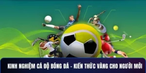 Khám Phá Cá Cược Bóng Đá 12Bet Thú Vị Kích Thích Hành Động Ngay Hôm Nay