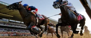 Tham Gia Cá Cược Đua Ngựa 12Bet Kịch Tính Thắng Lớn Ngay Hôm Nay